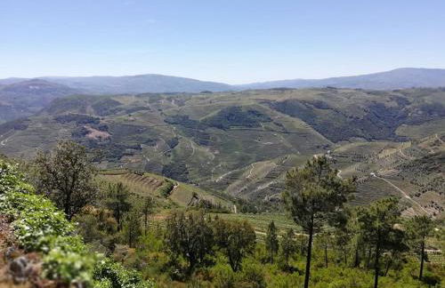 Domus Trintorum - Foto 6