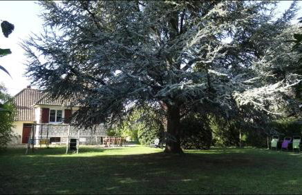 Le Mas et Le Cèdre Deux gîtes au fil de la Loire 4 - Foto 30