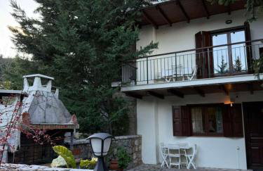 Horizon Nest Parnassos Villa Chalet! - Foto 38