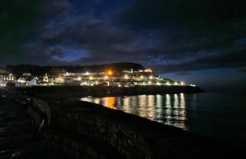 Arvonia sleeps 7, sea views, dog friendly - Foto 34