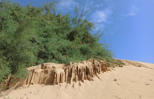 Casa Ester - Foto 29