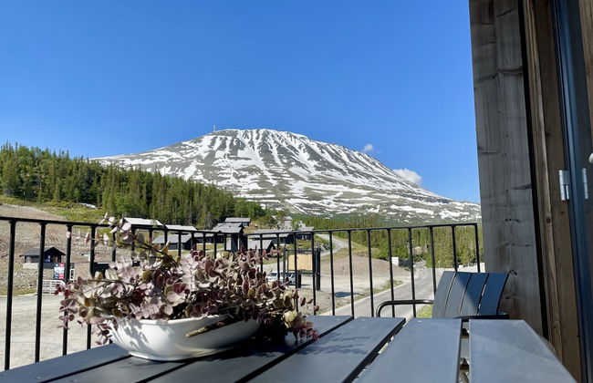 Gausta View - Photo 33