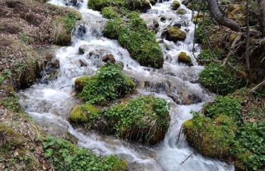 APARTAMENTS CASA NANDO - Photo 2