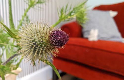 Self-Catering Suite in rural guest house 10 min to Islay Ferry Terminal - Foto 1