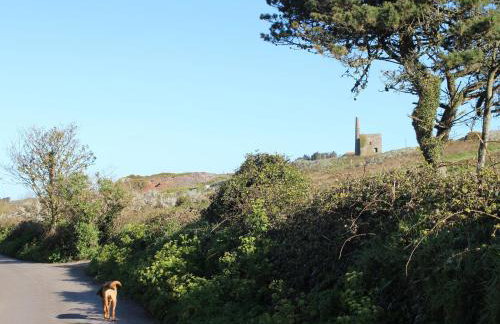 The Stables - Foto 39