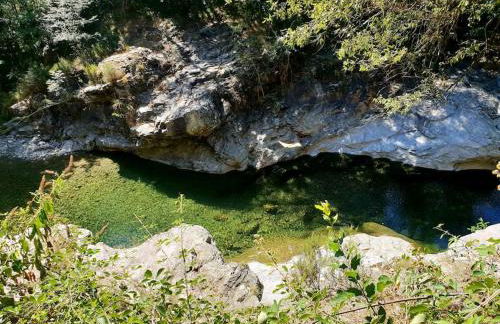 Magnifique villa au cœur des Cévennes - Foto 40