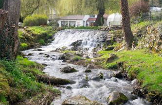 La Petite Vernoelle - Foto 13