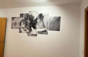 Apartamentos Suites Olmedo - Foto 25