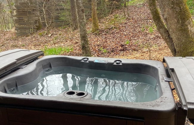 Royal Fern in Pisgah Forest - Foto 38