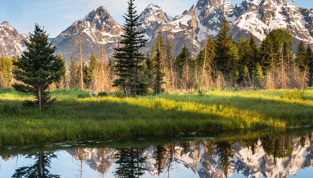 Yellowstone and Grand Teton 4 Day Tour - Foto 4