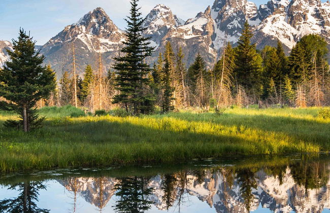 Tour di 4 giorni a Yellowstone e Grand Teton - Foto 8