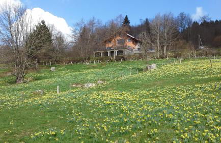 Gîte de la Lombarde - Foto 6