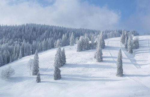 Fewo "Sonnenwinkel" C37 mit Südbalkon im Haus Feldbergblick, Lenzkirch, Innenpool, Sauna - Foto 22