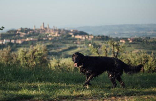 Fattoria San Donato - Foto 34
