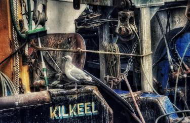 Beachside - Stunning sea view townhouse across the road from the beach - Foto 37