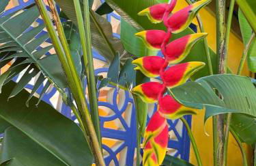 São Francisco do Sul, SC, Praia do Forte. - Foto 29