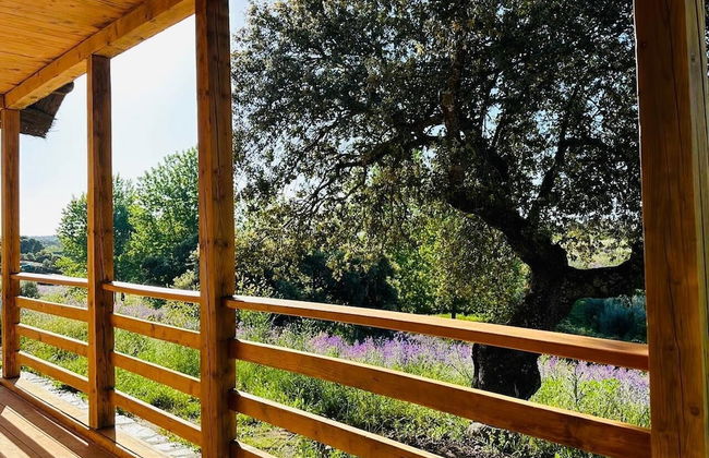 Hamlet's Friends - Foto 36