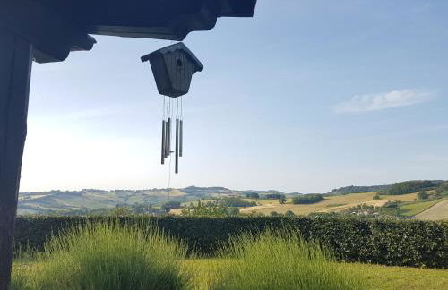 Country House Il Sassòne - Foto 16