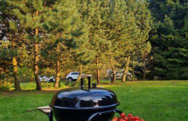 Przystanek Śniardwy - Foto 6