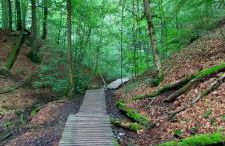 Ferienwohnung Bachstelze mit privater Terrasse - Foto 48