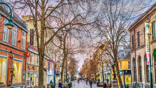 Scopri Trondheim - Tour privato a piedi - Foto 2