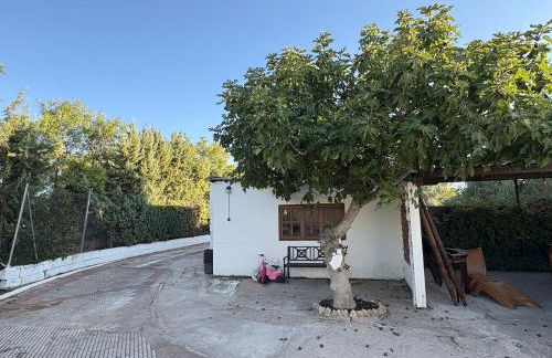 Las Colinas - Foto 33