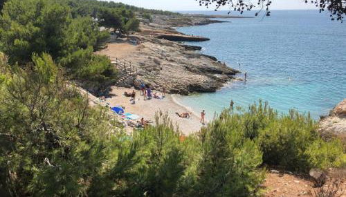 Appart-villa Les 2 pins - Foto 3