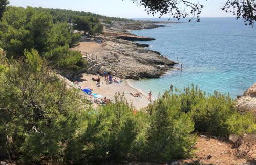 Appart-villa Les 2 pins - Foto 3