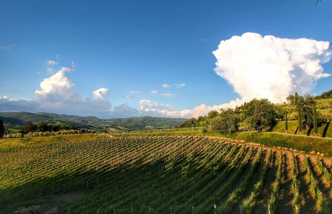 Chianti Hillside Farmhouse - Foto 39