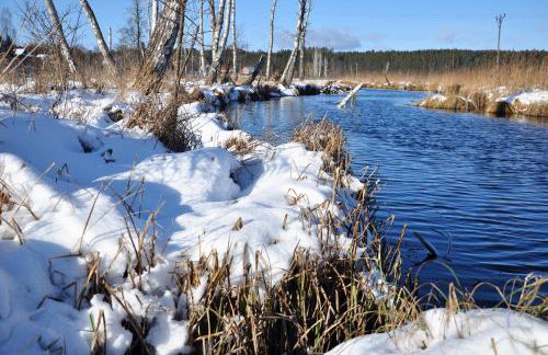 Forreset - leśny reset - Foto 71