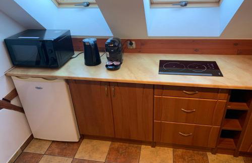 Noclegi Zielona Gęś - Foto 3