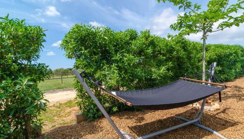 Son Vigili in Campos - Foto 5, Garden