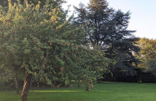 5 star Cotswold luxury with orchard garden - Foto 6