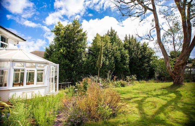 Trees Annex - Photo 21