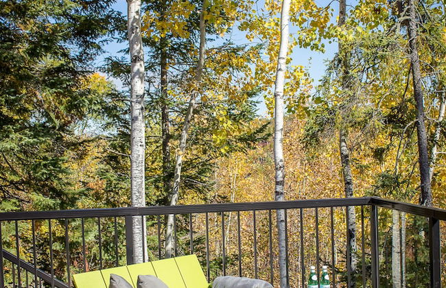 Beautiful Log Cabin on Saganaga Lake - Foto 17