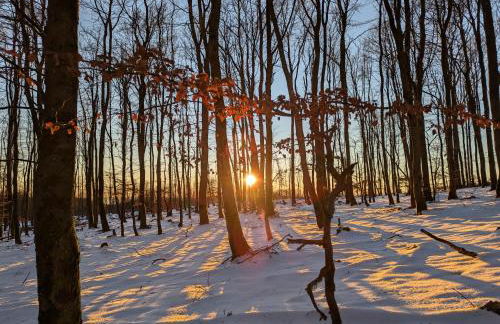 Ferienwohnung im Schwedenhaus - Foto 25
