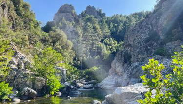 Appartement Logement entier avec piscine - Foto 4