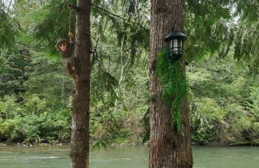 Tony's Riverside Oasis - Foto 44