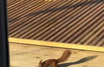 Storm Cottage in the Countryside - Foto 44