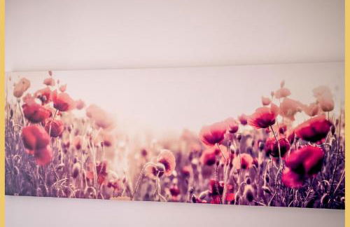 Le Manoir de Jérémy I T2 I Thonon - Foto 15