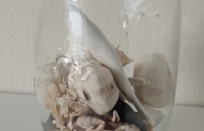 Hotel Tannishus - Foto 13