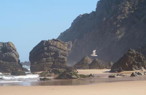 Family house Adraga - Foto 34