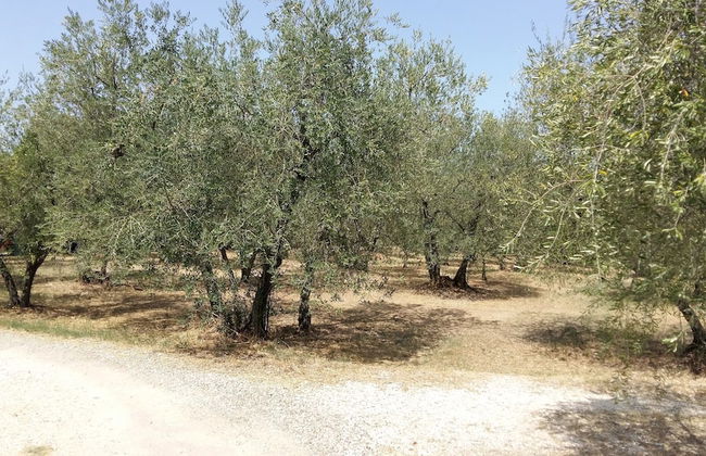 Agriturismo Il Colle - Foto 21