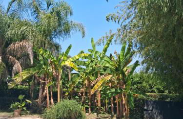 Luxury Villa - Appia Antica - Foto 28