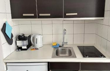 Terrassenwohnung mit Donaublick 4 - Foto 4