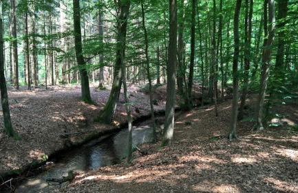 Ferienwohnung Schuberski - Foto 36
