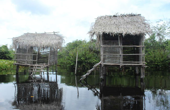 Excursion à San Blas - Photo 7