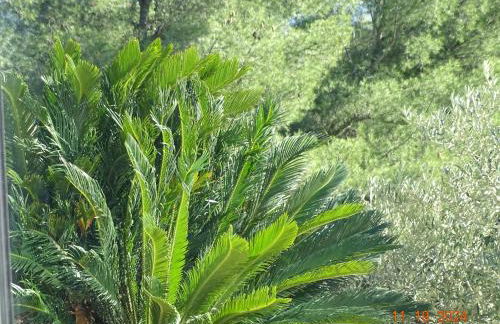 Villa skyline - Foto 74