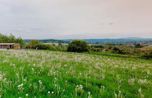 Domki na Górniej Łące - Domek Słowik - Foto 4