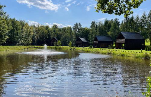 Przystanek Kistówko komfortowe domki z jacuzzi, staw wędkarski, kominek, las, przestrzeń - Foto 43